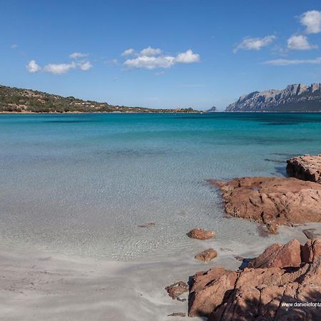 Aria Di Vacanza - Gelsi Olbia Buitenkant foto