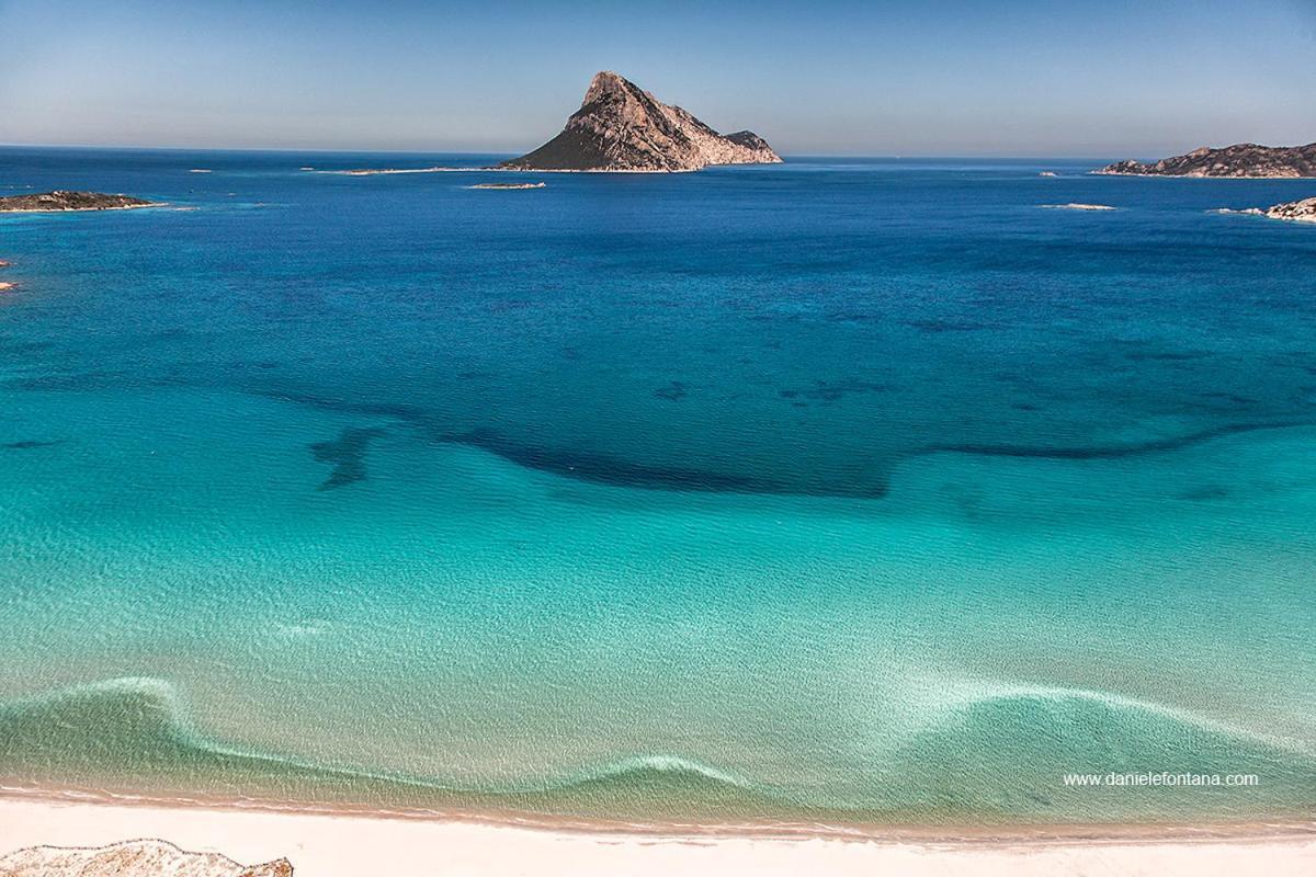 Aria Di Vacanza - Gelsi Olbia Buitenkant foto