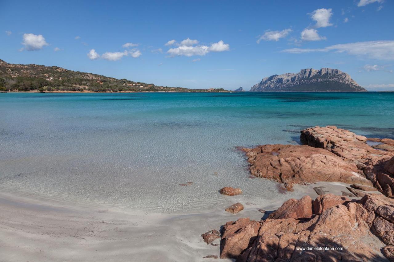 Aria Di Vacanza - Gelsi Olbia Buitenkant foto